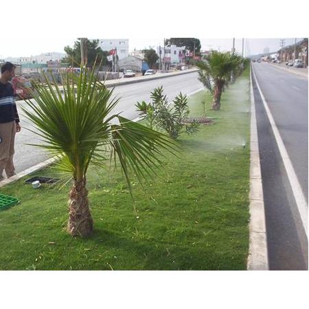 Refüj için Otomatik Sulama Uygulaması 4.500 m2 Çim sulama Bodrum / Muğla / TURKEY