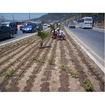 Refüj için Otomatik Sulama Uygulaması 4.500 m2 Çim sulama Bodrum / Muğla / TURKEY