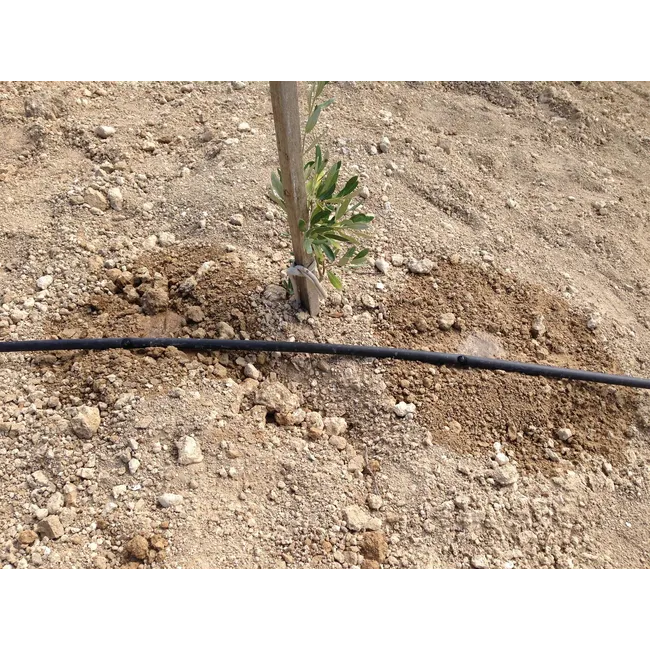 3.200 zeytin için Damla sulama uygulaması 190.000 m2 Gümülceli / Saruhanlı / Manisa / TURKEY